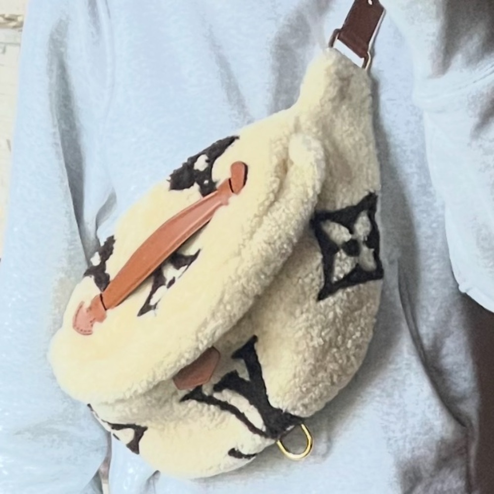 Louis Vuitton Shearling Bumbag